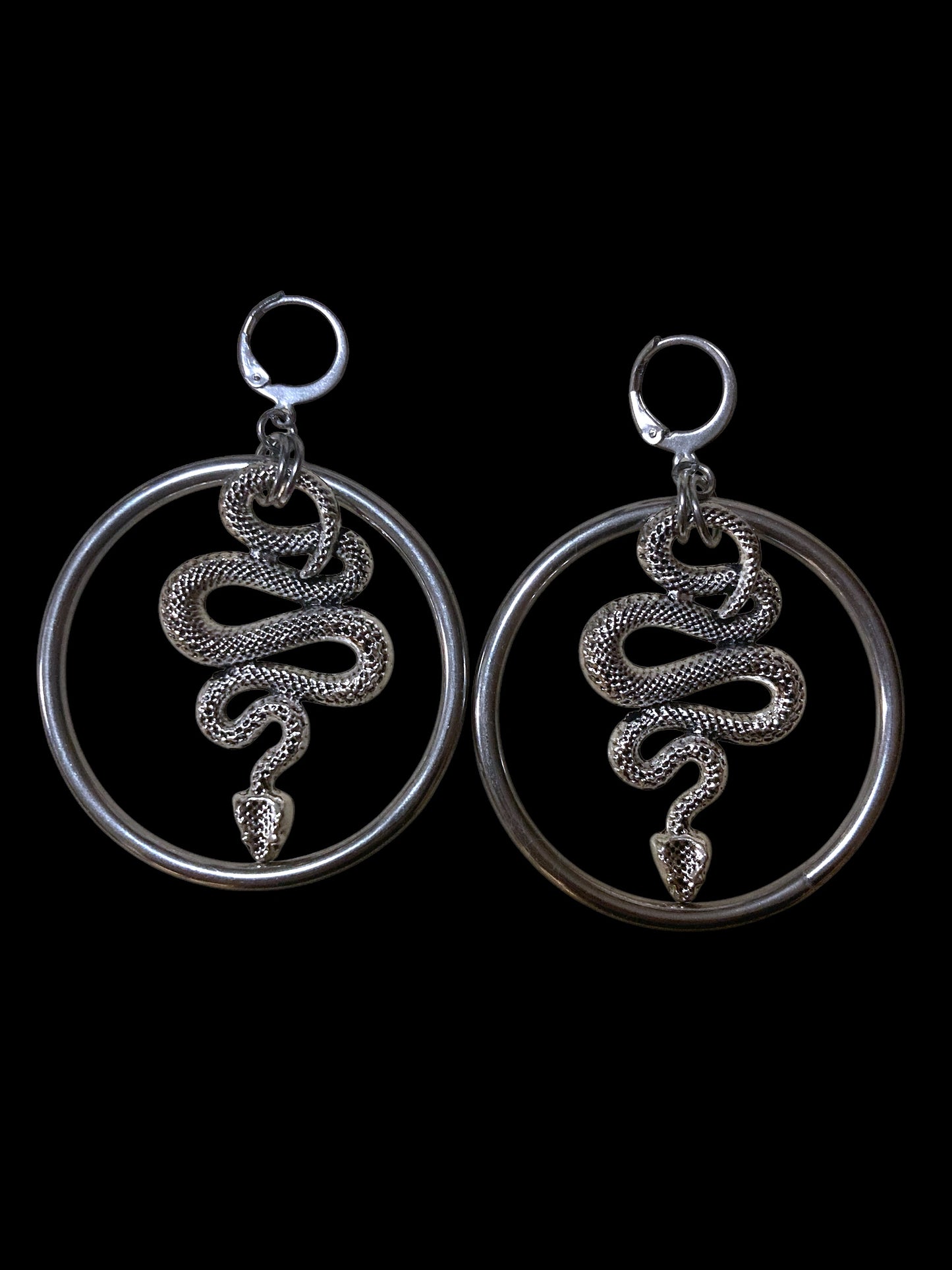 Year of the snake hoops