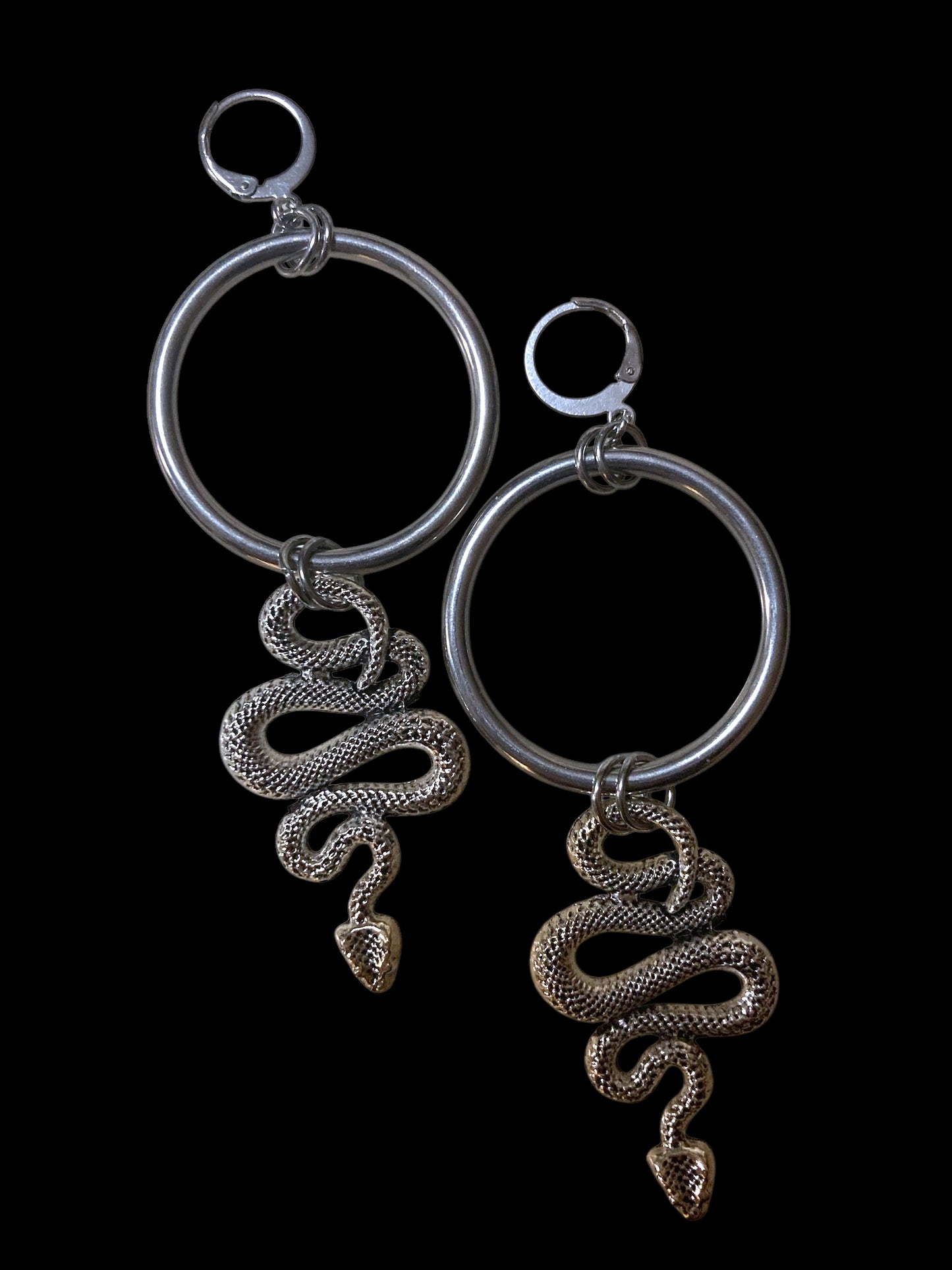 Year of the snake hoops