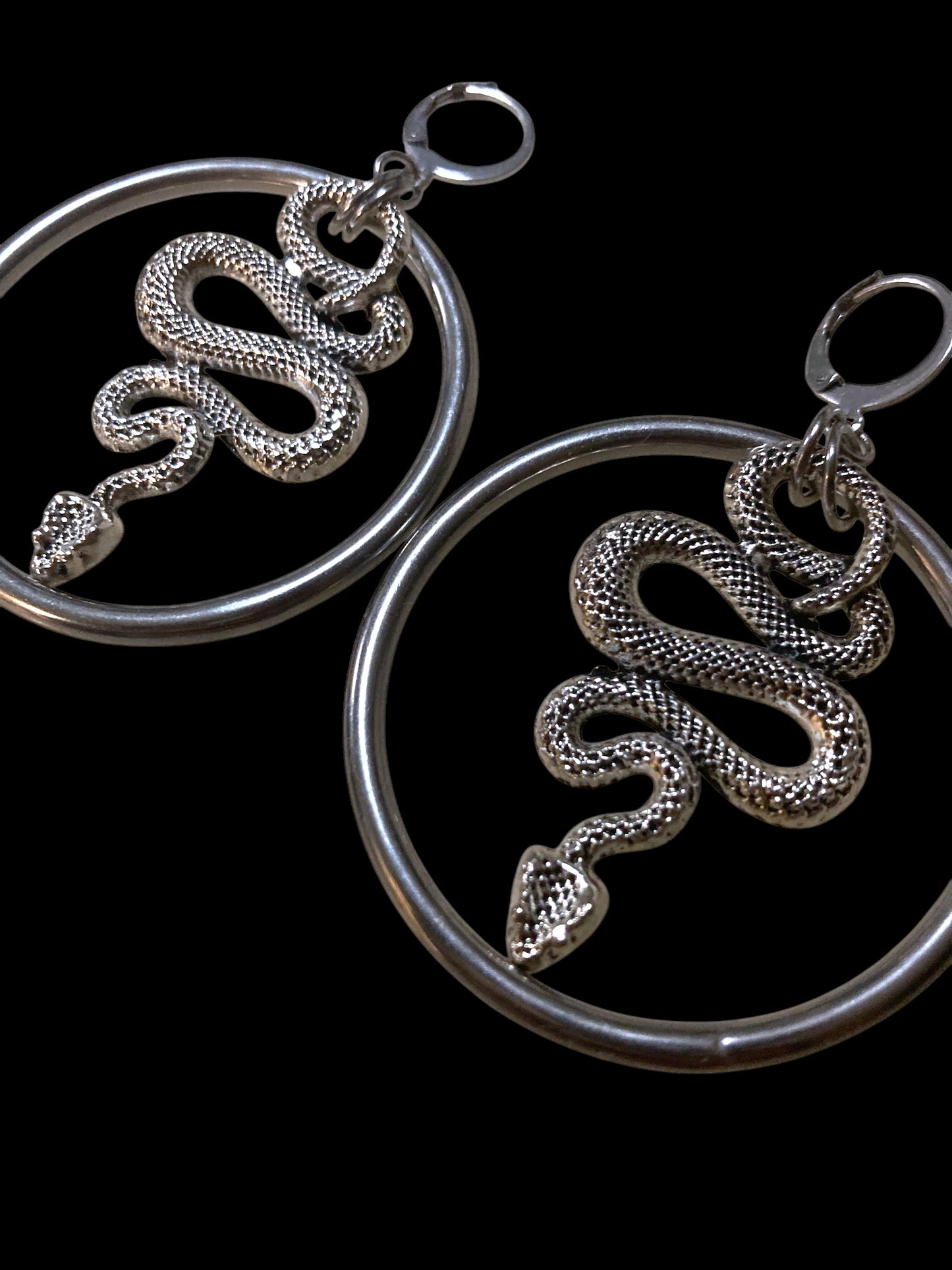 Year of the snake hoops