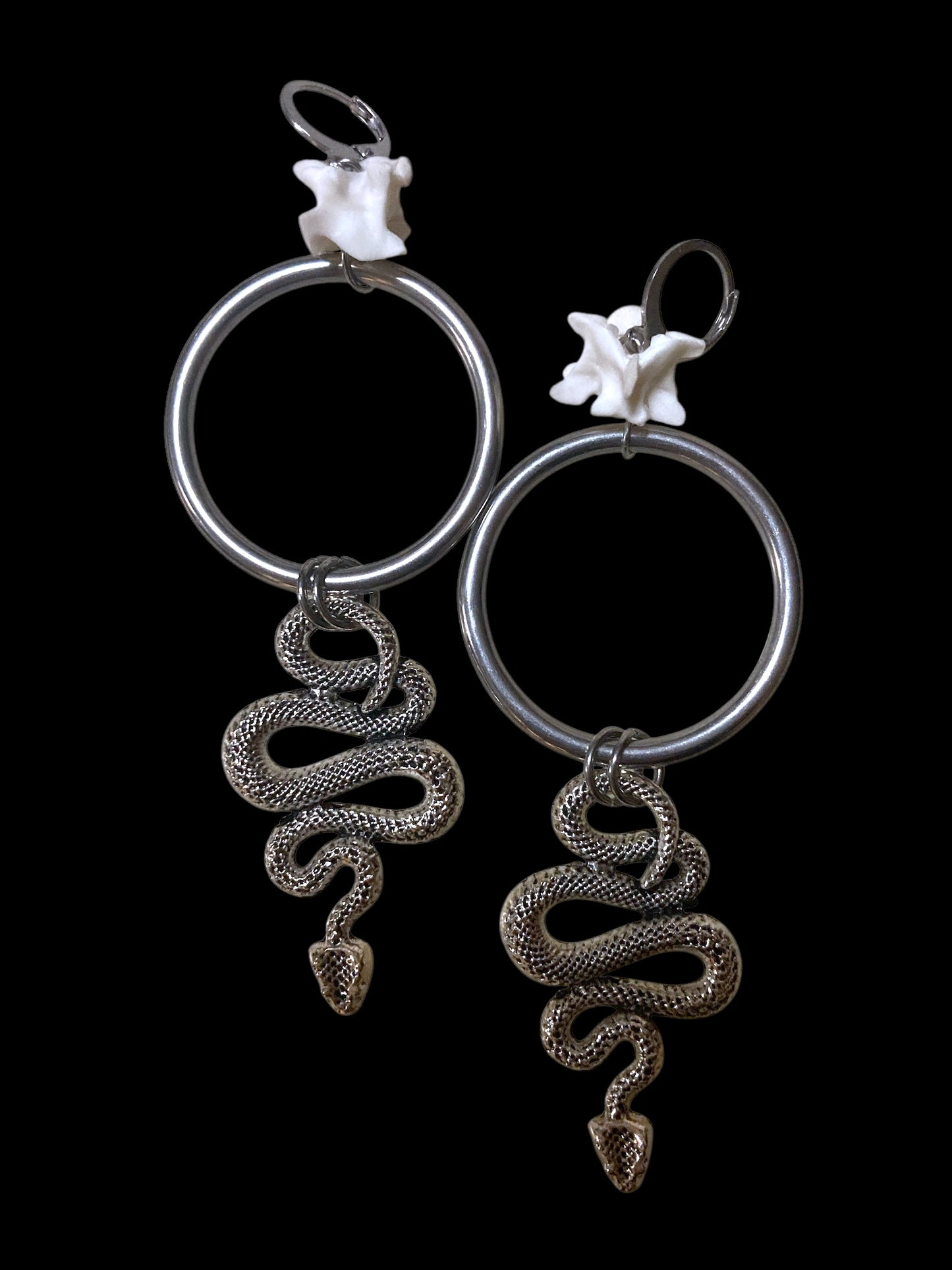 Year of the snake hoops