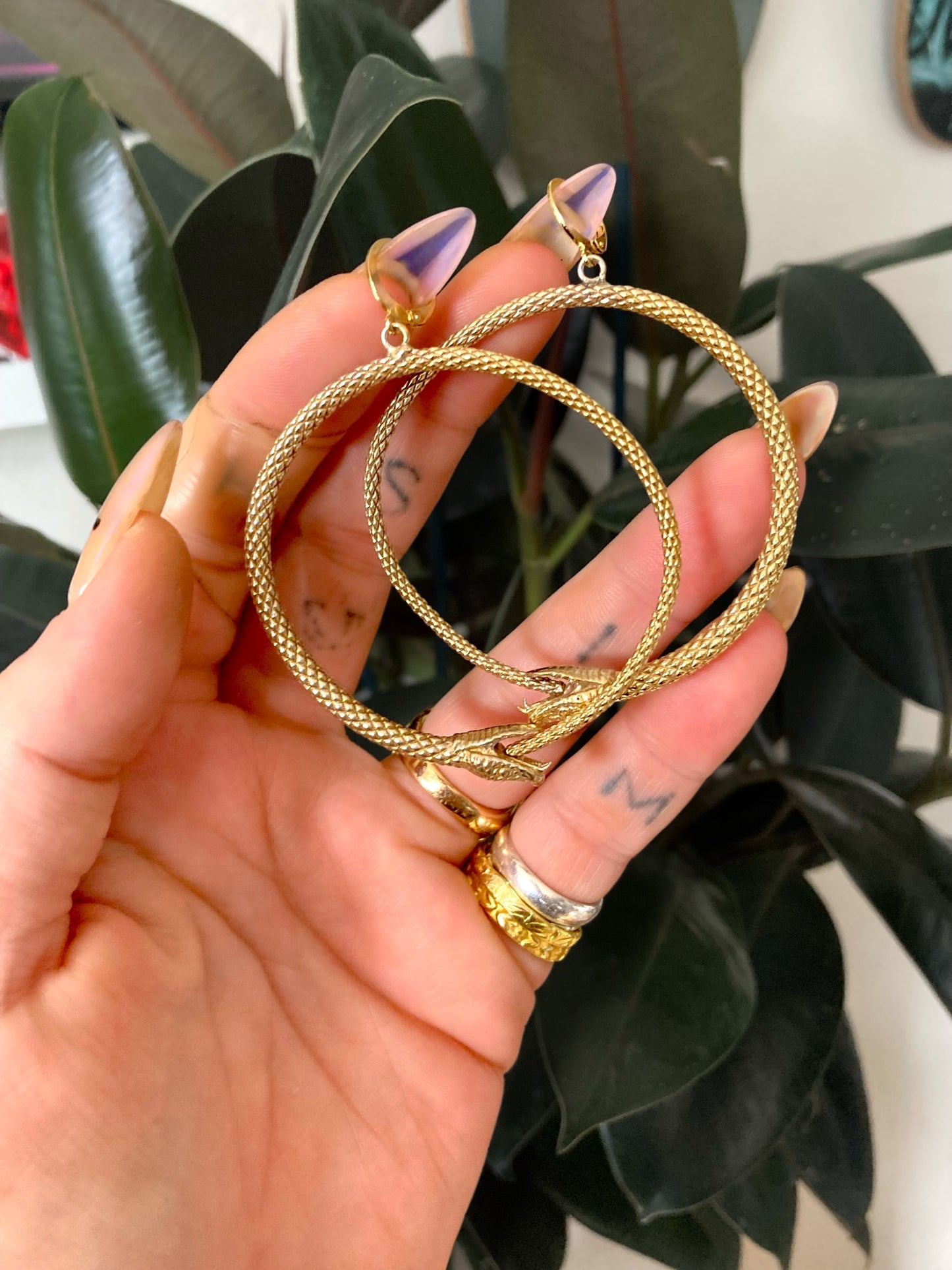 Userpent Hoops