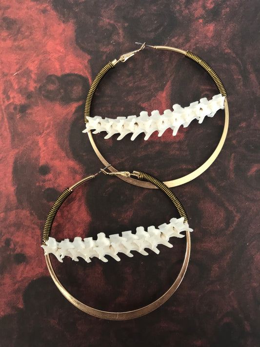 Crescent Vertebrae Hoops