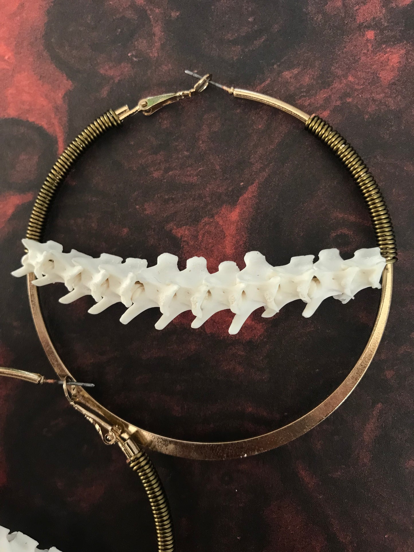 Crescent Vertebrae Hoops