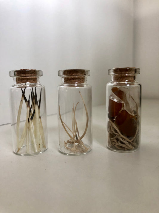 Mini oddities jar