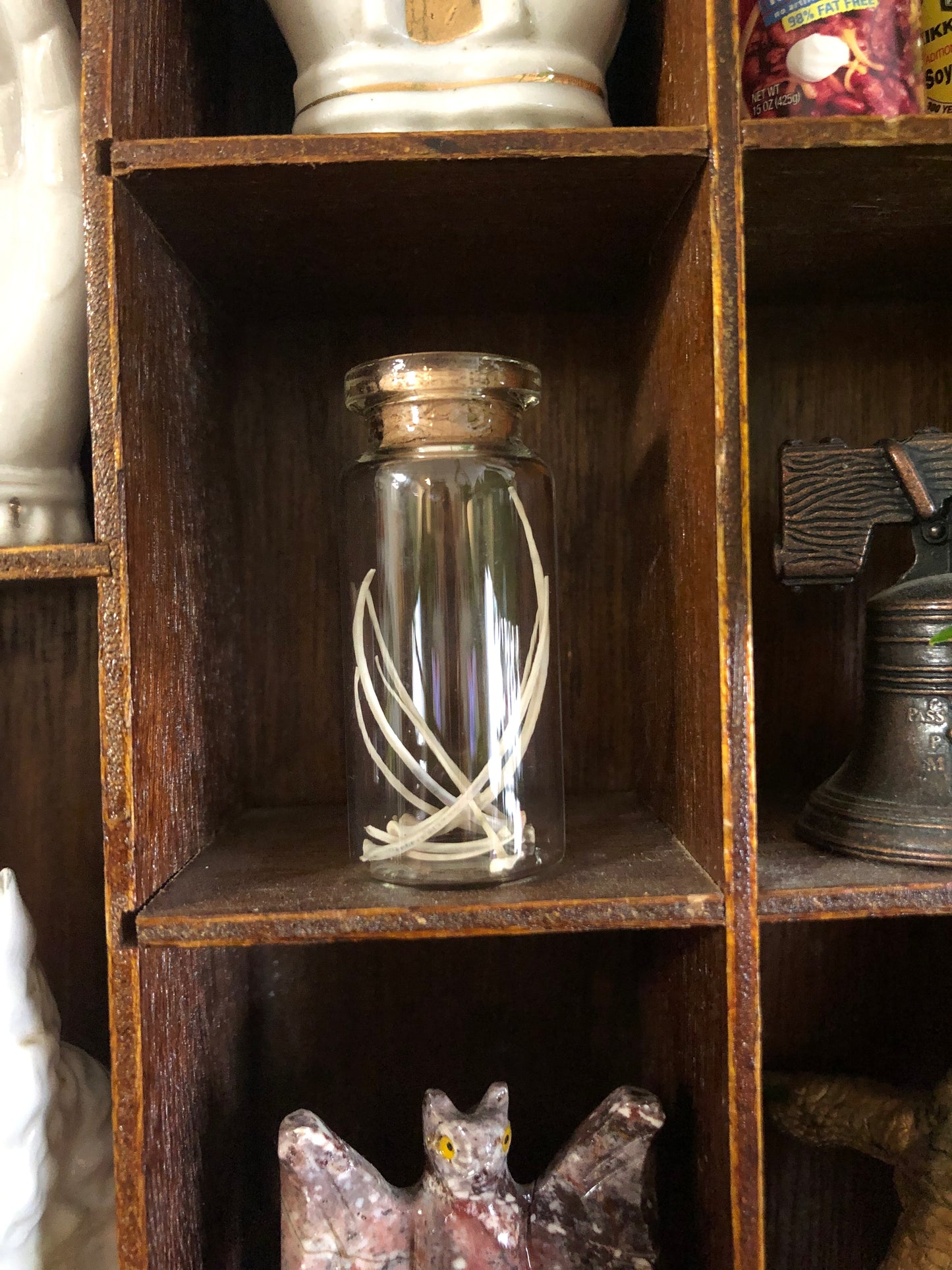 Mini oddities jar