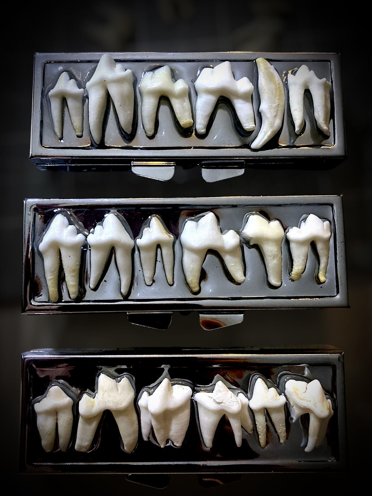 Tooth pill stasher