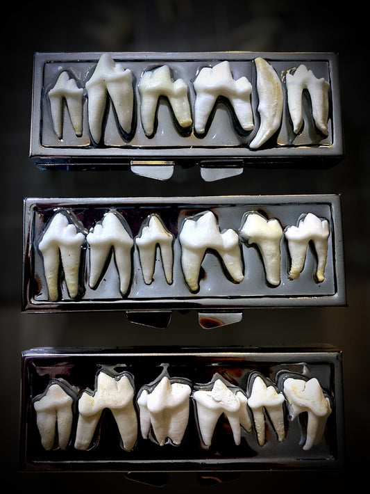 Tooth pill stasher